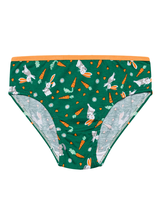girls-briefs-rabbit-and-carrot-bf/bf01134ffdf8f2d25e8a3c8ae9eff77addfc0e03