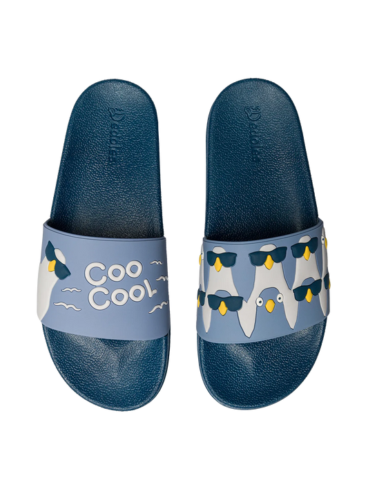 slides-cool-pigeons-bc/bc93654ccc9c50aee6203277ec15f4d447c219a9