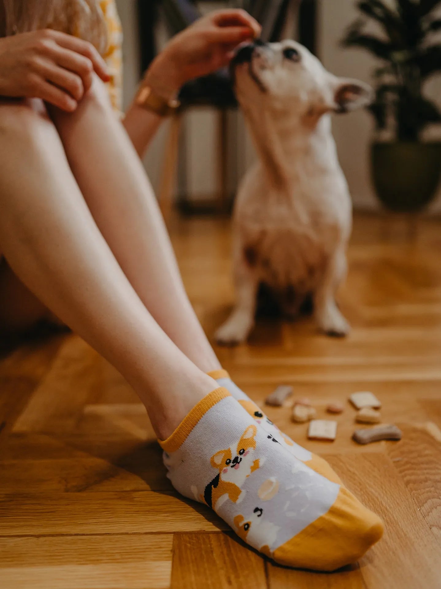 sneaker-socks-corgi-dog-1-3a/3a2280c2dd9017d76f30f33df4f75262904c9eac