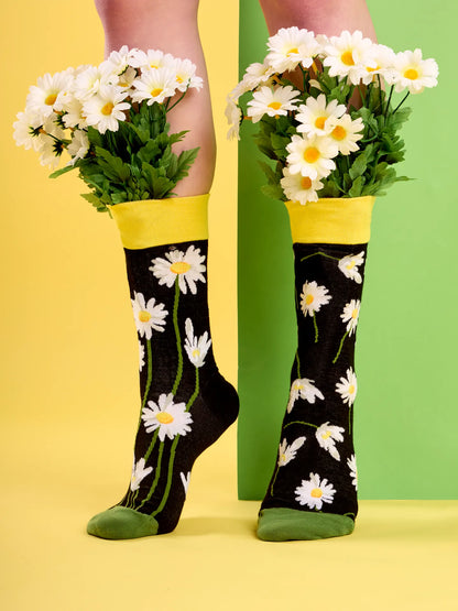 regular-socks-daisies-at-night-1-23/231a711135c87d7ce9c04d4806e5ec0b2a0d5588