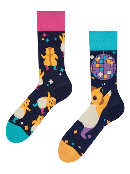 regular-socks-party-hamsters-1-b5/b5fe9b2d26a6ce692facec6857c866a13ee4745d