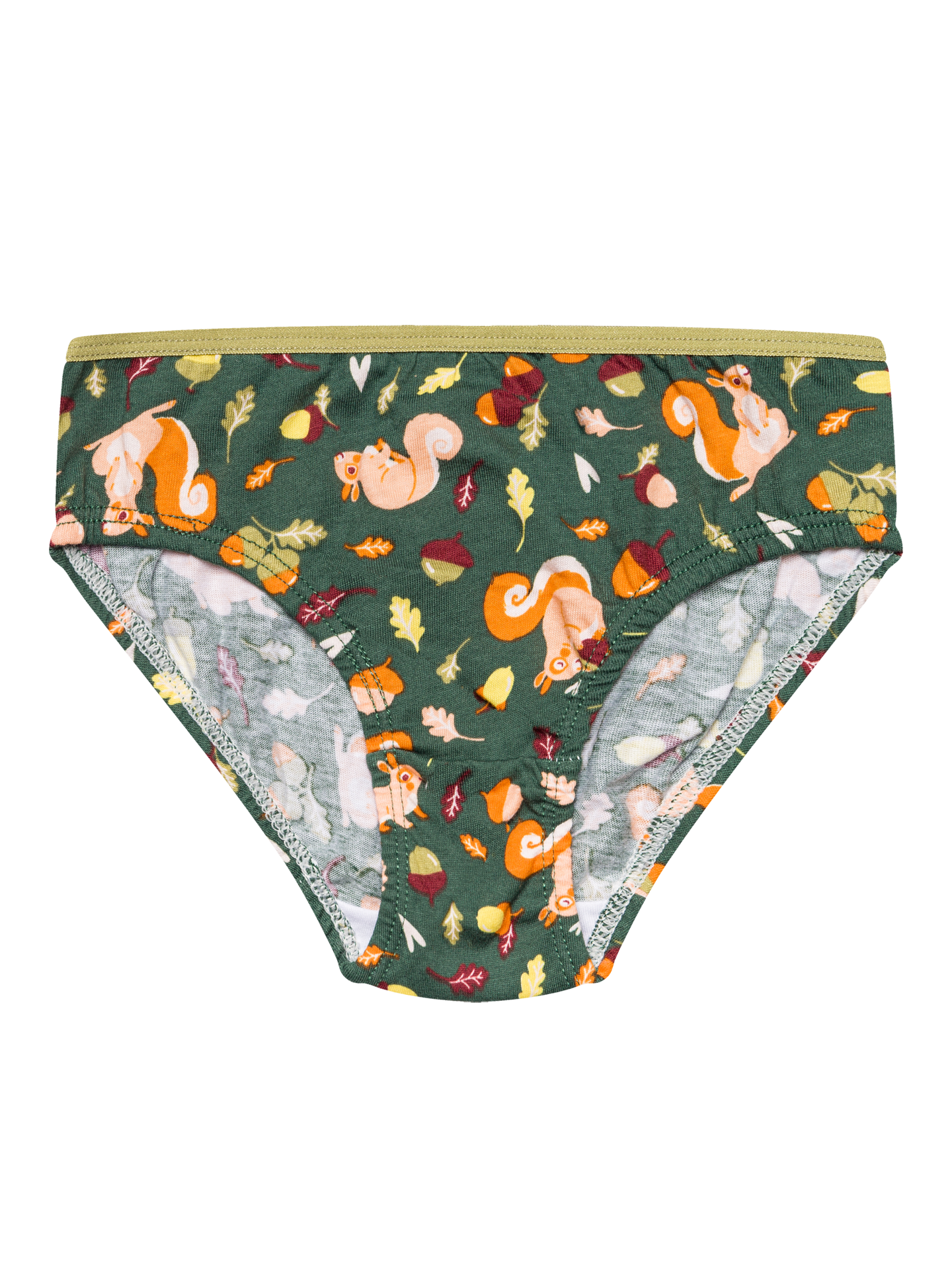 girls-briefs-squirrel-72/729532ea38f7d8b9a2f29ca4d3bc005a22c6a377