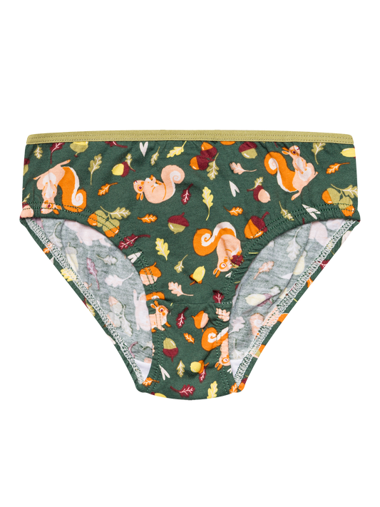 girls-briefs-squirrel-72/729532ea38f7d8b9a2f29ca4d3bc005a22c6a377