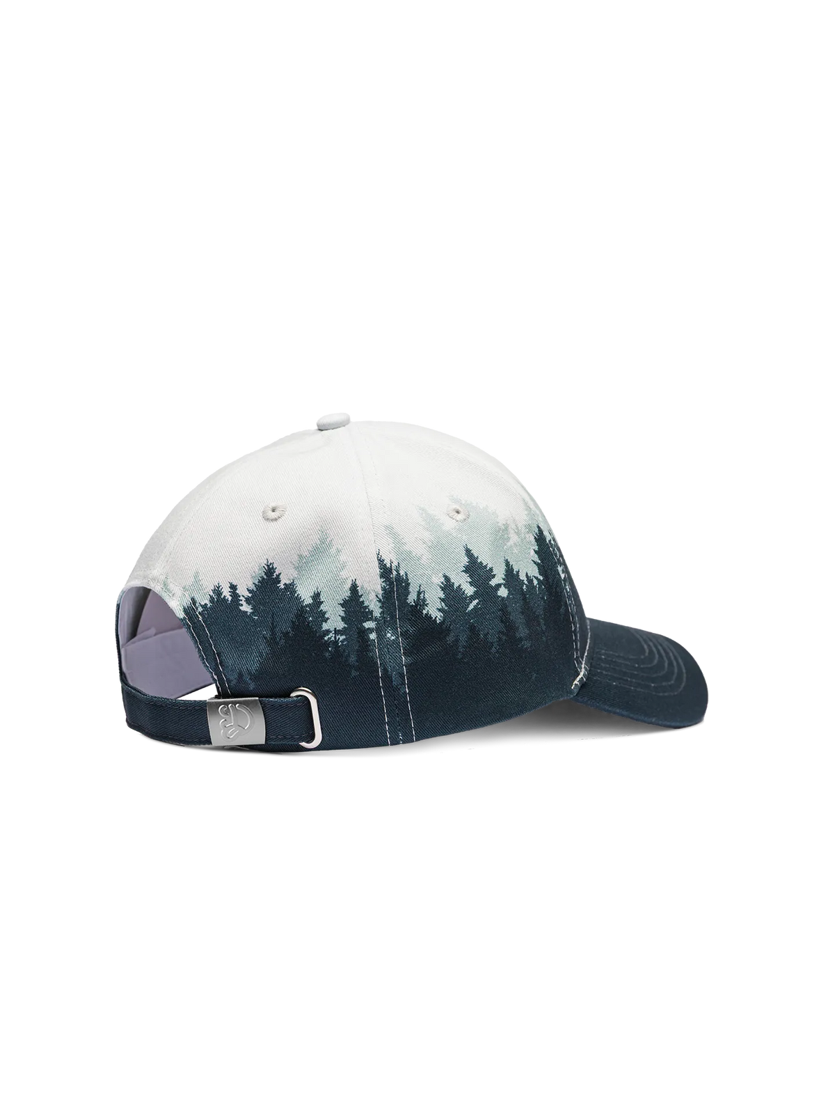 cap-cold-forest-c9/c9628e0931194606b56bb997a84618df09e22ac0