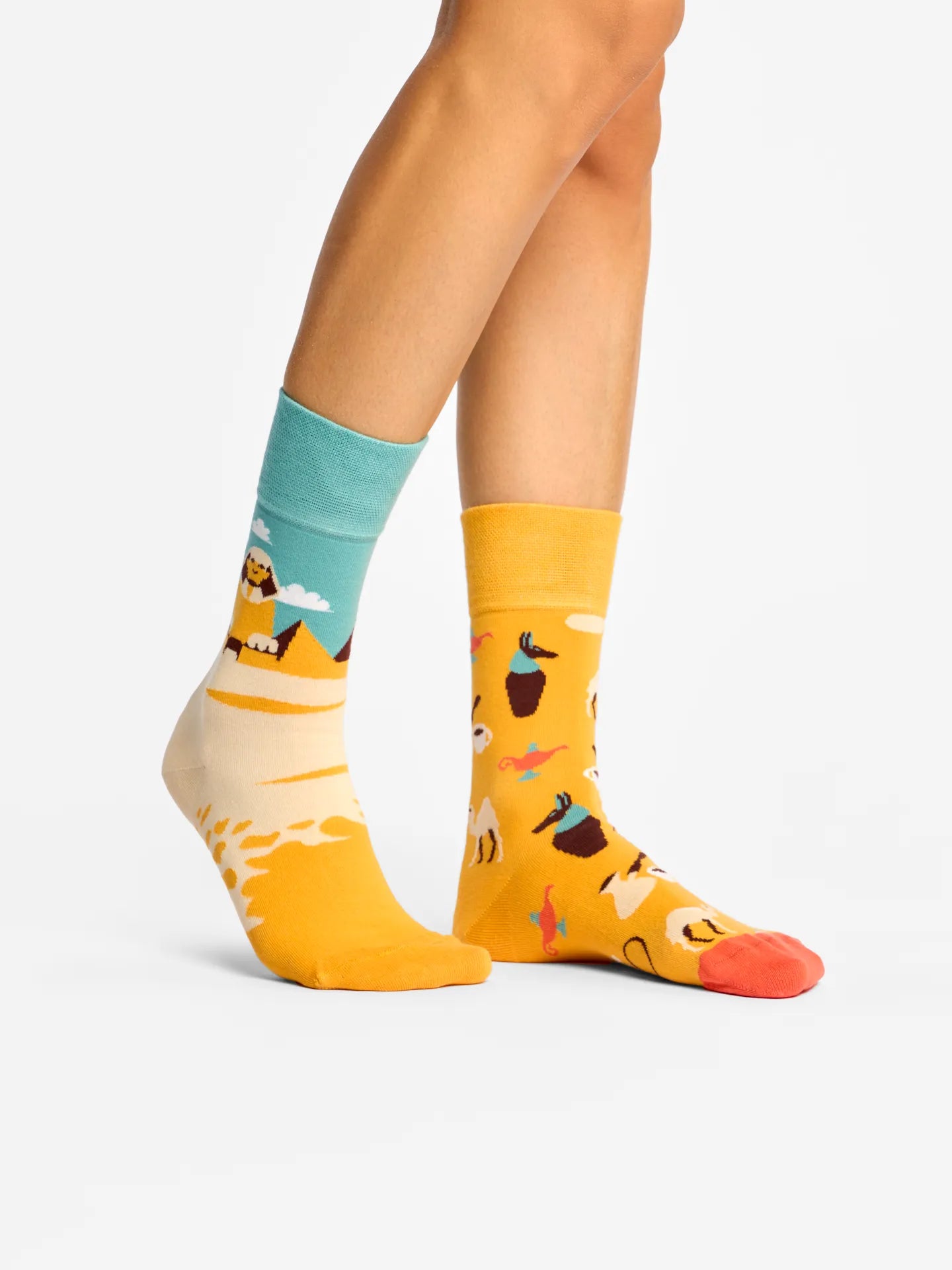 regular-socks-egypt-a1/a1745374dd5653da04450fdb9faea66154664566