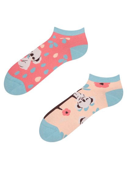 ankle-socks-sleepy-koala-1-2a/2ad348342197cf6a4b139a4bc6a6861de93ddcbf