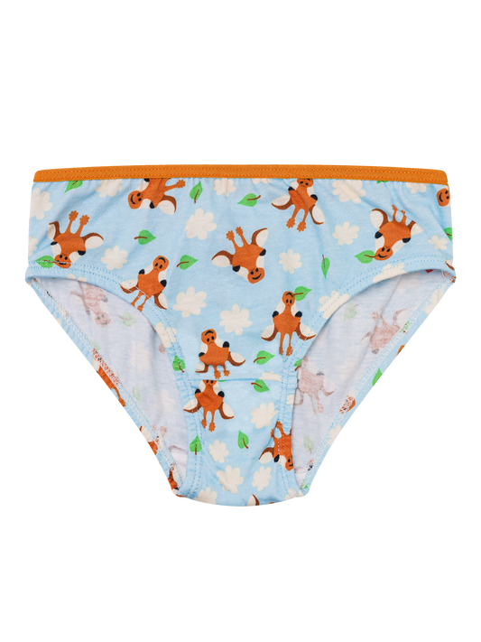 girls-briefs-cute-giraffe-60/60f467c19a0cc83d8795d8b4d3685e7c9e4e1433