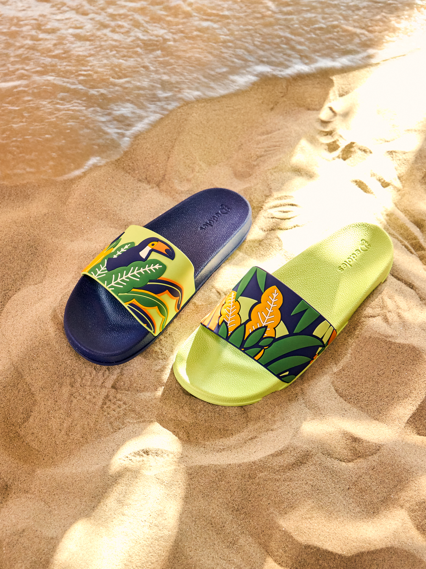 slides-toucan-leaves-0d/0d9e4a631db2420afa07cac129d8cdee6d3c929c