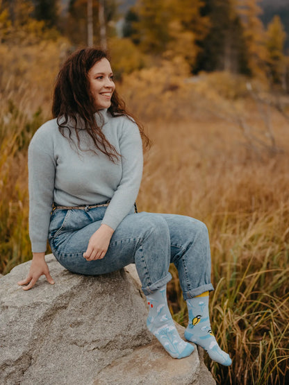 warm-socks-winter-bird-1-10/10b6a69cb903fc9d8a3e7a25ddde06aedebf35eb