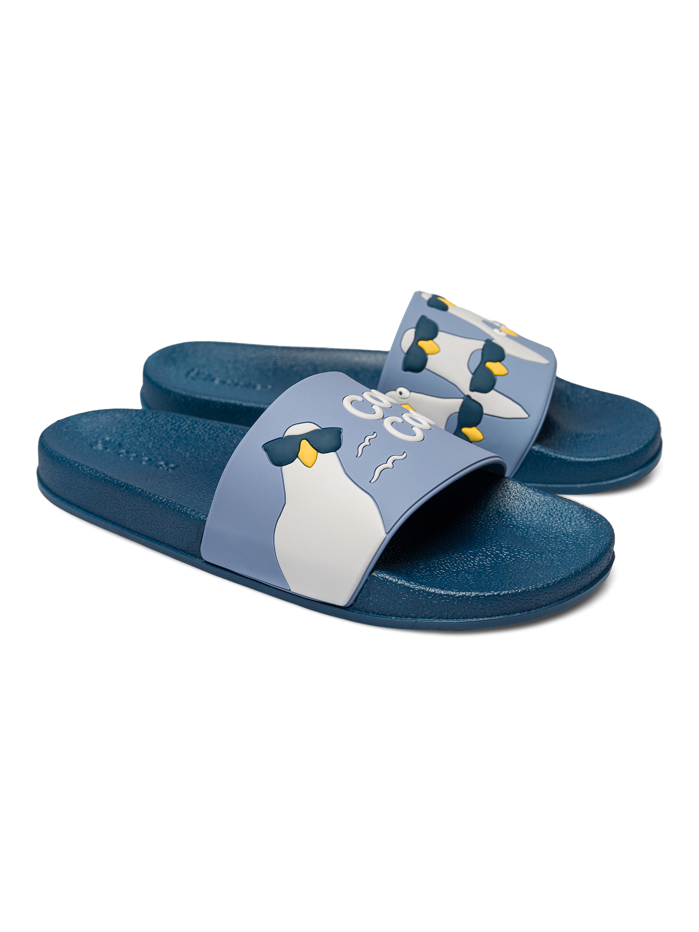 slides-cool-pigeons-c7/c7e9b3646ce483987753bb99ce522fdb6d93f334