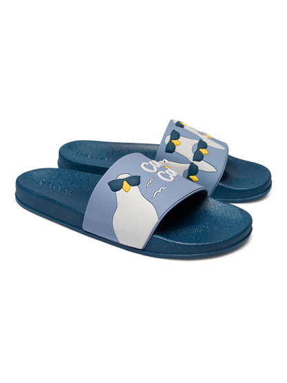 slides-cool-pigeons-c7/c7e9b3646ce483987753bb99ce522fdb6d93f334