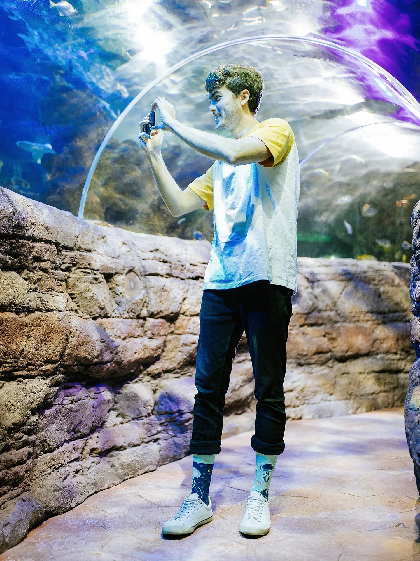 regular-socks-floating-jellyfish-1-10/10b5ab43f636b85fd81e726ebbe734c674643f94