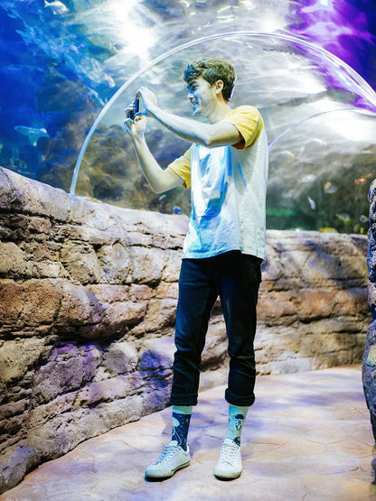 regular-socks-floating-jellyfish-1-10/10b5ab43f636b85fd81e726ebbe734c674643f94