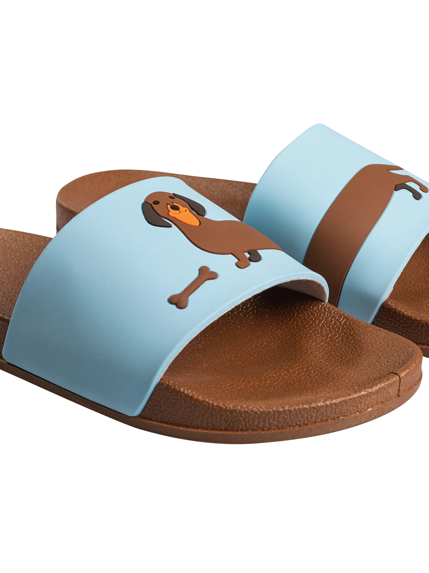 slides-long-dachshund-ae/ae7d42cd9957a28f417a7c0ed04072b6c5303744