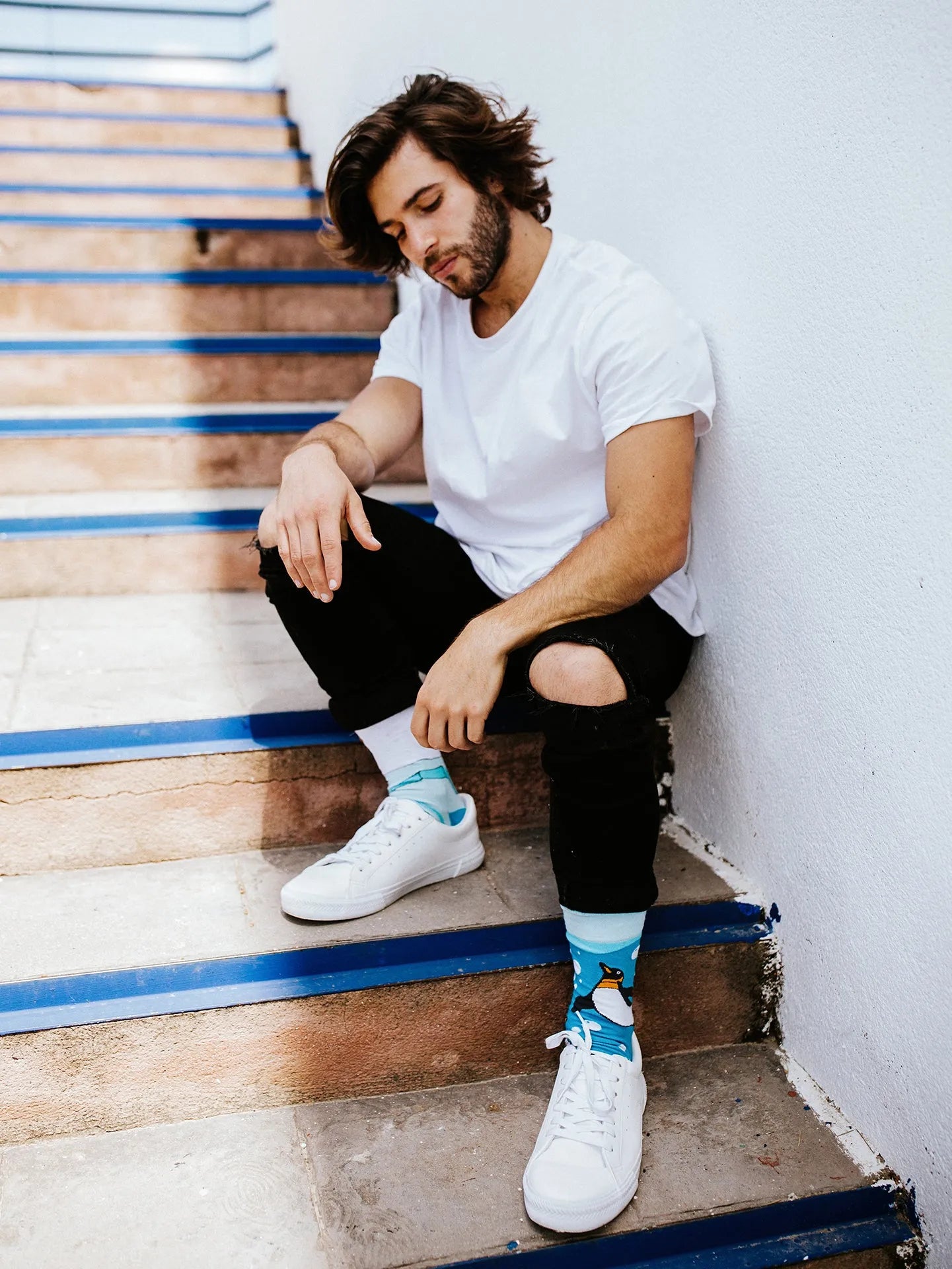 regular-socks-penguins-1-f1/f11531602076c694c23e189e030319d426a94775