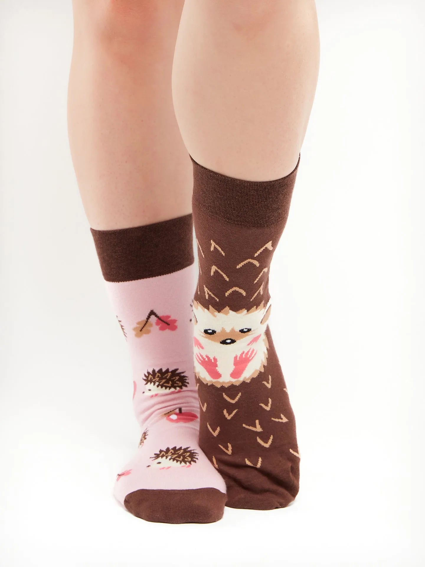 regular-socks-hedgehog-1-a3/a338013e2610d3b89404263efb41e67acd6d0563