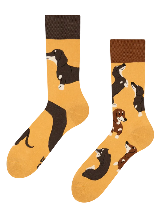 regular-socks-dachshunds-1-7a/7a9d9ee6d92d14ded441c93b34a97d16327984ef