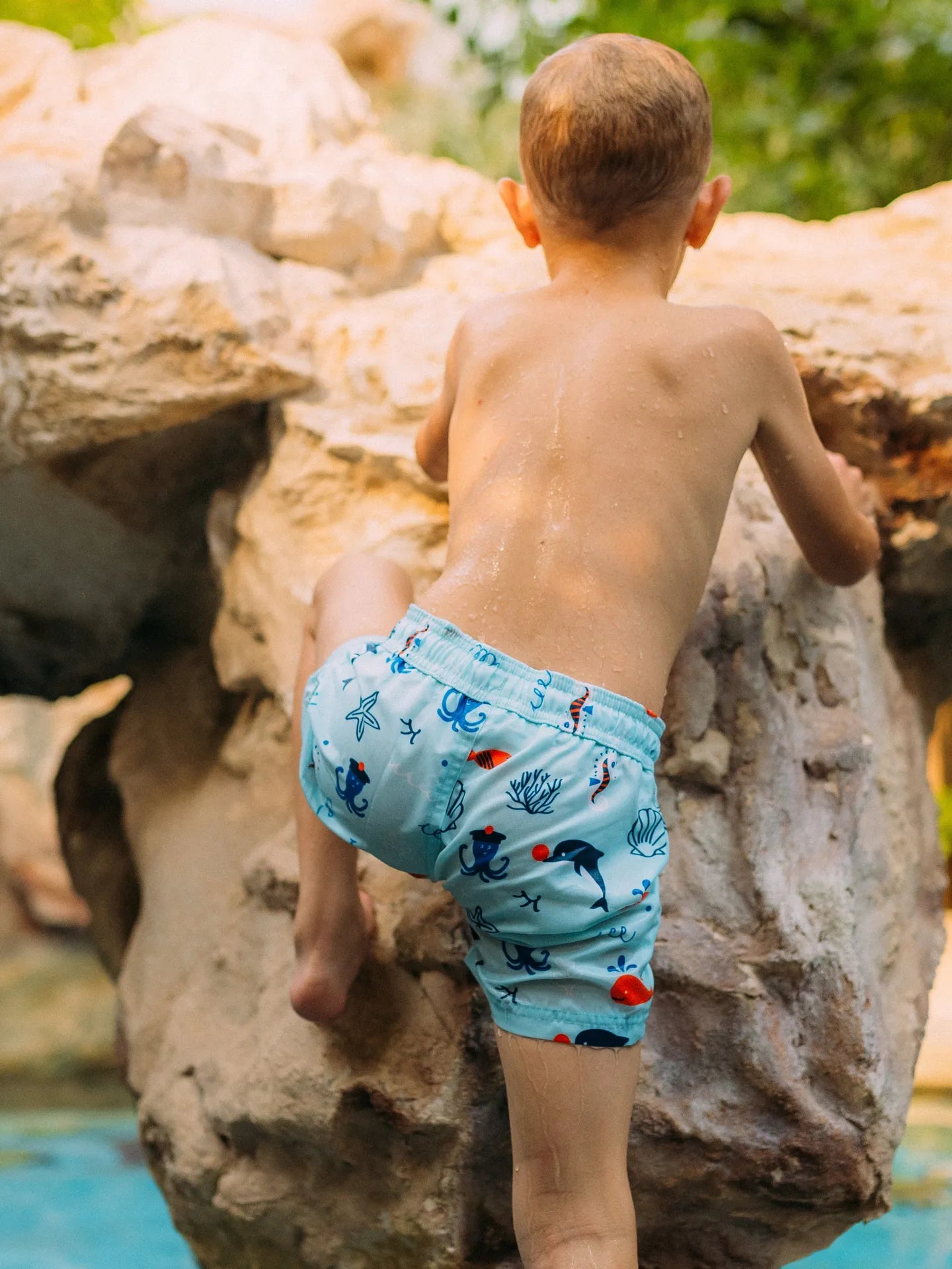 boys-swim-shorts-sea-friends-53/53e116d1080ba2c5516849f5526db7cedf43a71f