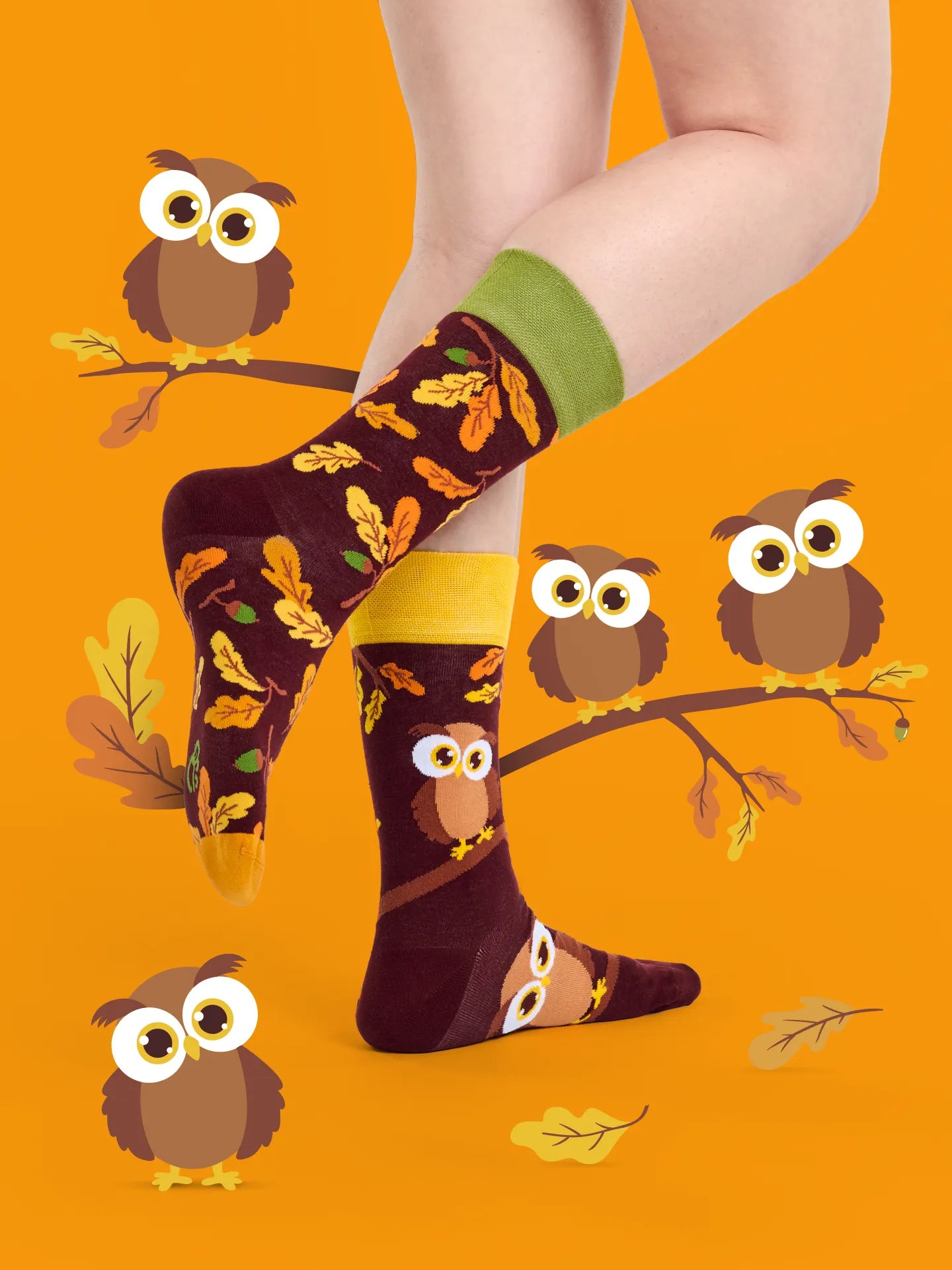 regular-socks-curious-owl-1-e0/e08743dfe34f46fc79168c34c98fbd989e27ae80
