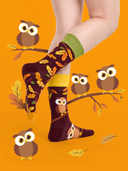 regular-socks-curious-owl-1-e0/e08743dfe34f46fc79168c34c98fbd989e27ae80