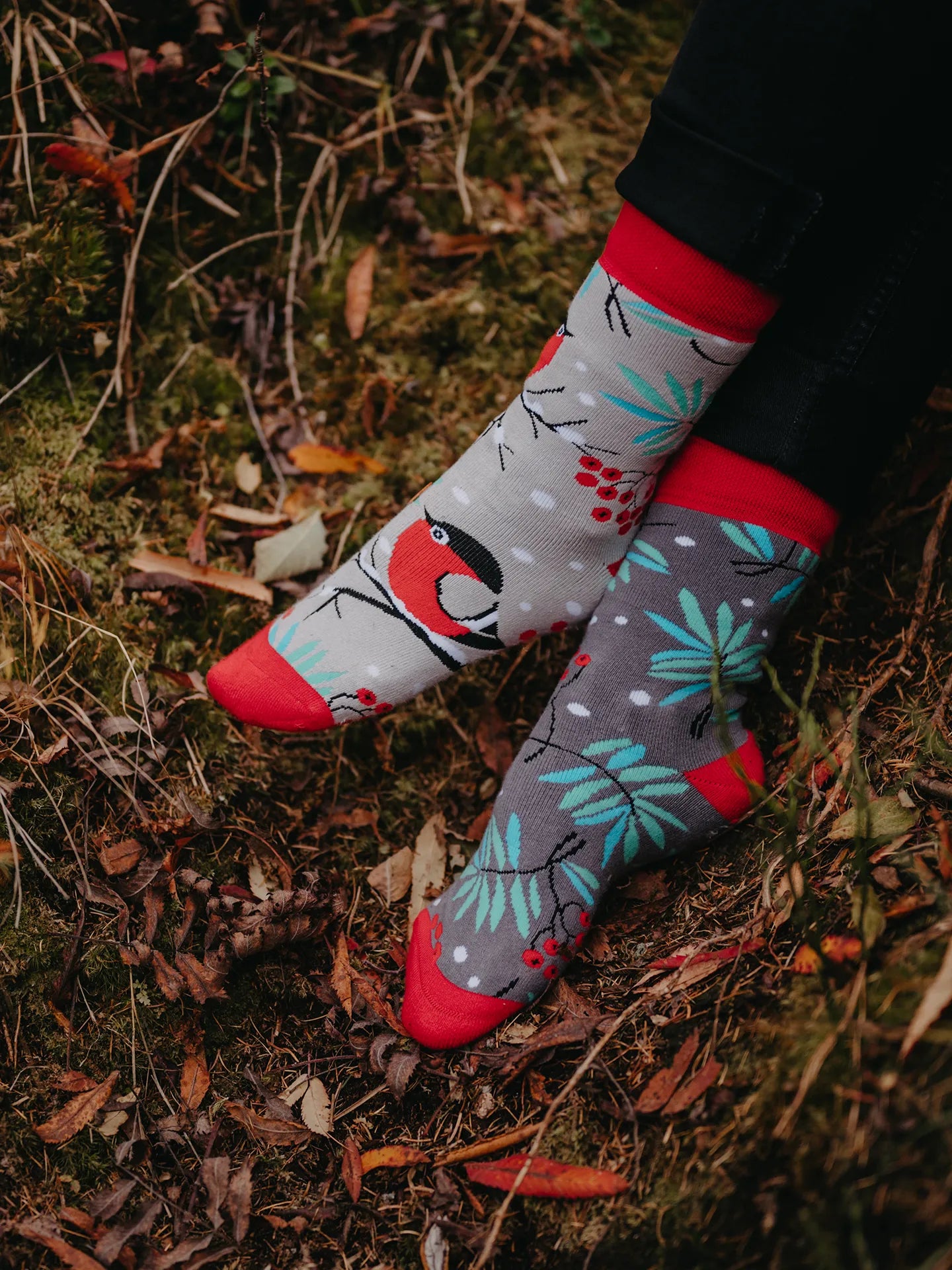 warm-socks-red-bird-e1/e144136d6667eb2f96ae0fd23f0850645d7366df