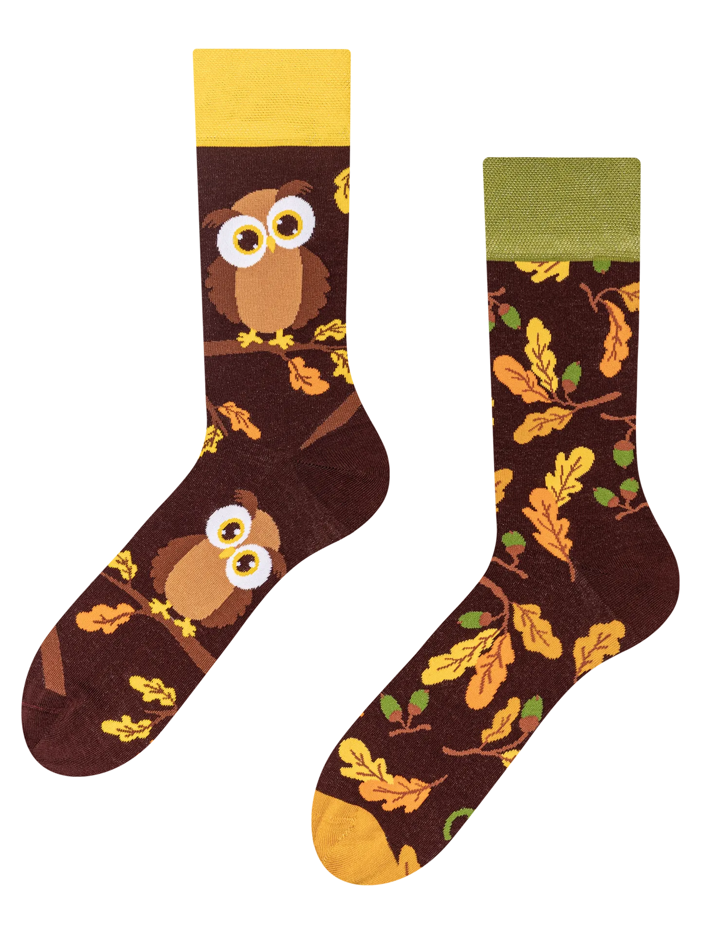 regular-socks-curious-owl-1-e1/e19b4ebf0026b8e0561871f7a516343d422c01ce