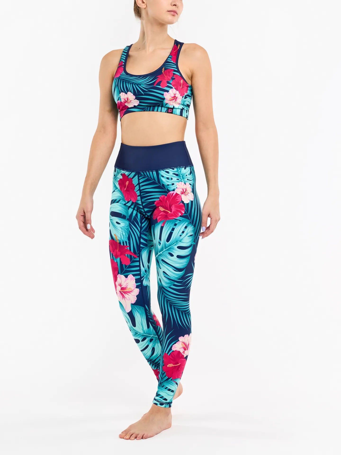 gym-top-tropical-paradise-6a/6a8ba1fed5f12052a0bbe9009ada1f4f3b9532e5