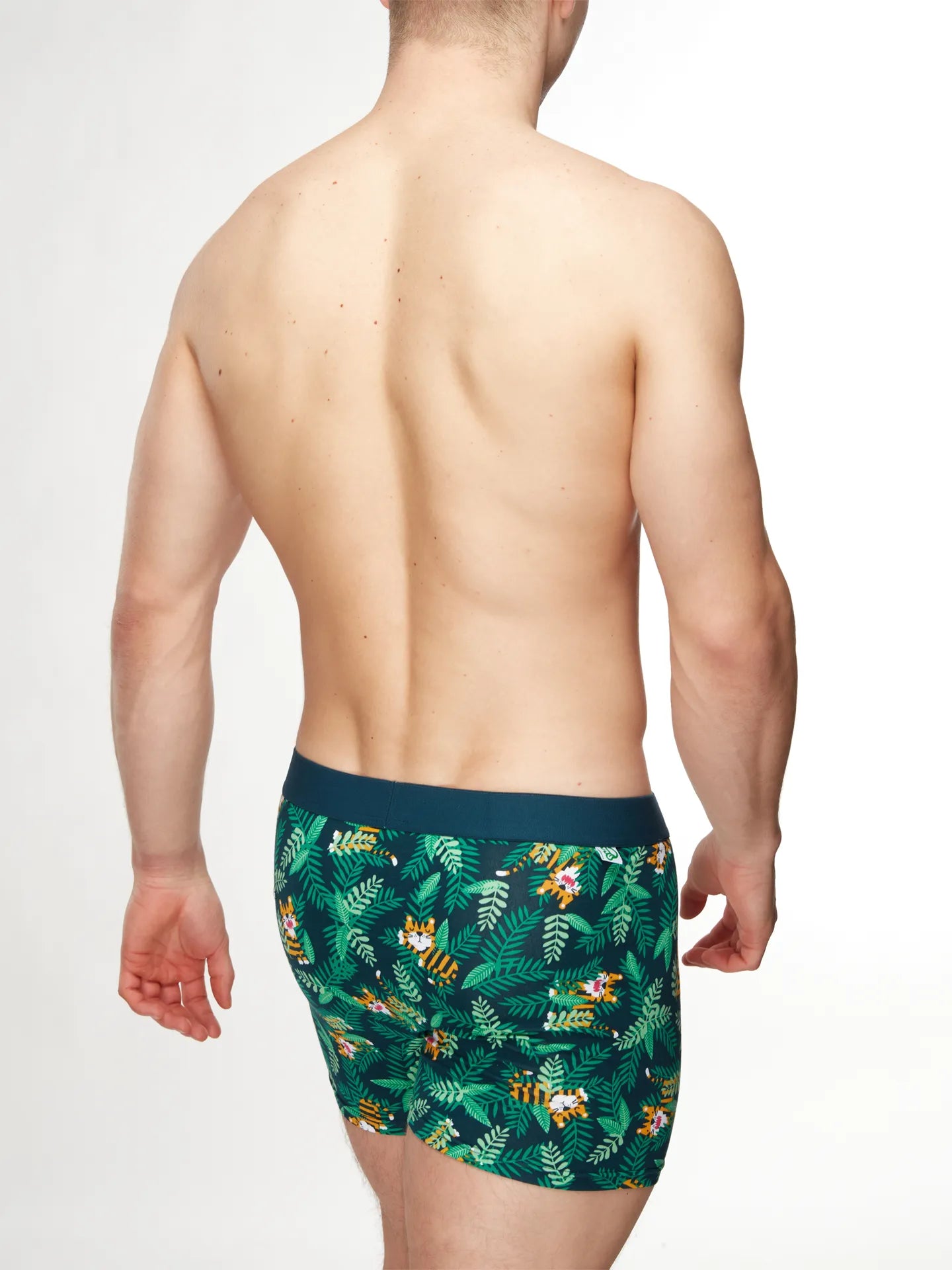 mens-trunks-tiger-1-e5/e5dd096291aa665ef9cd29ec80f8064d5602716c