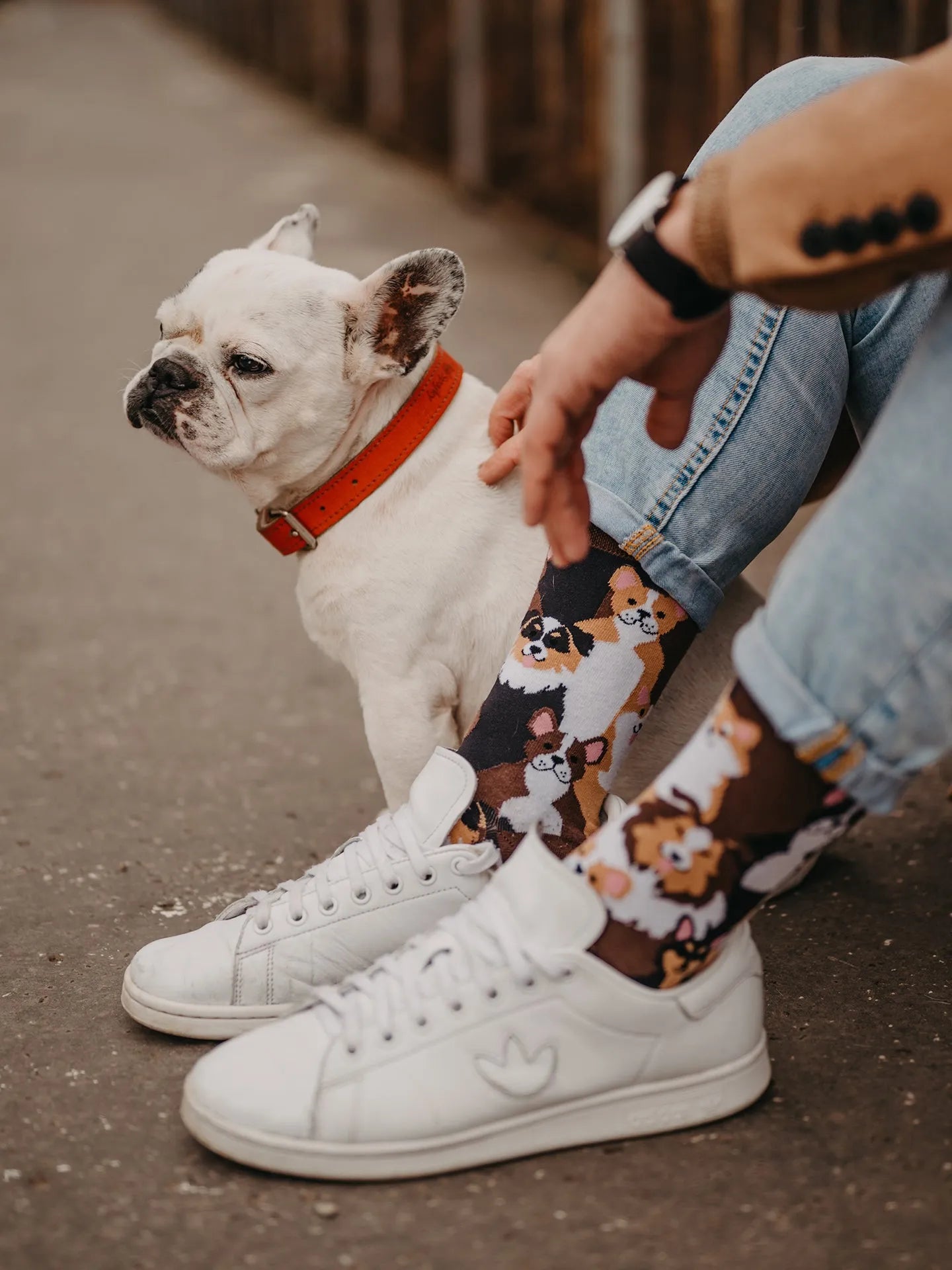 regular-socks-doggies-1-e6/e6eabeb756d17e7ec5b8c96c122273952e64d0e9