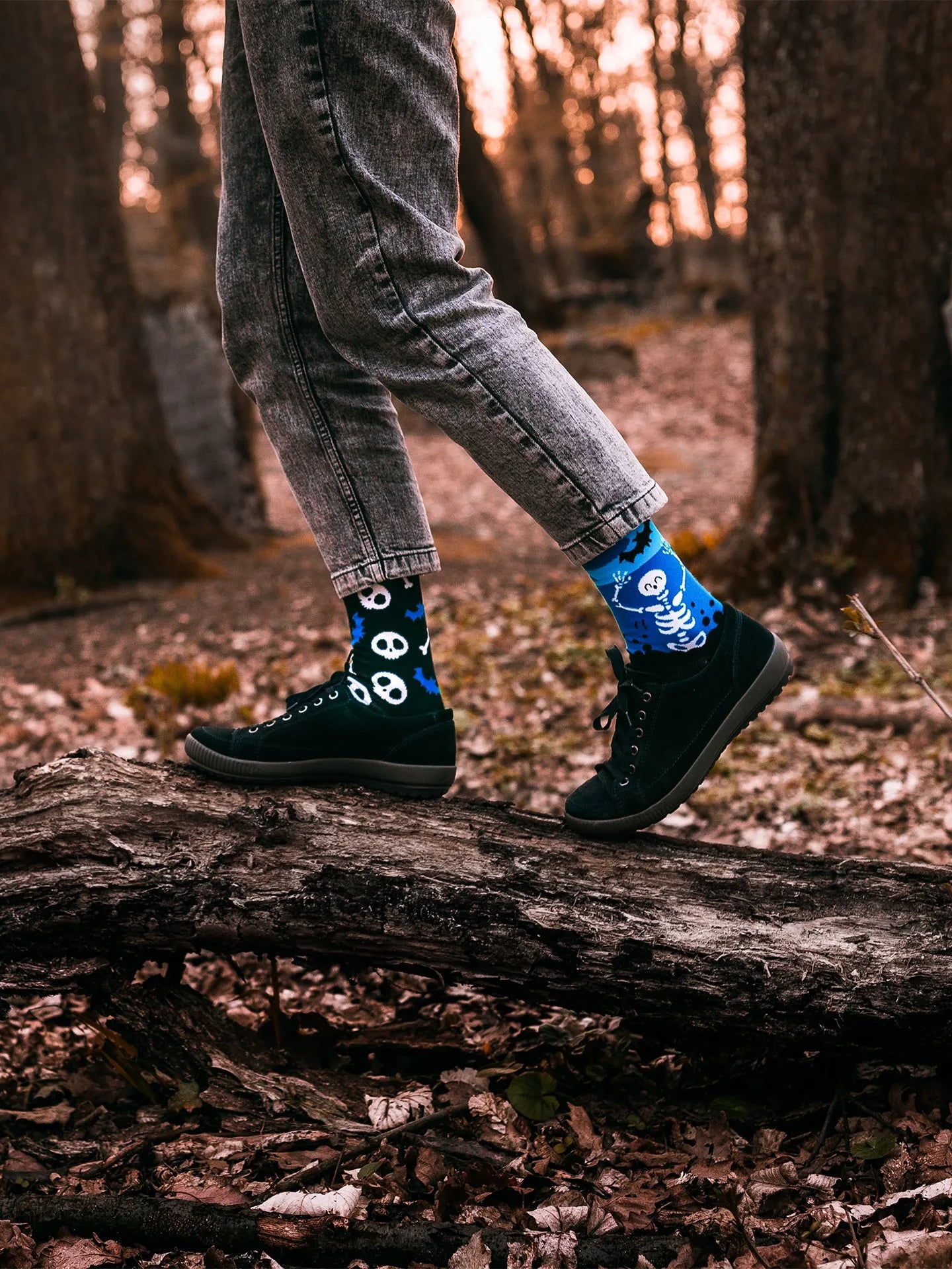 regular-socks-skeletons-1-a7/a77b1ae2aaebf5dcff73c38fbc7cdadd78b21d4d