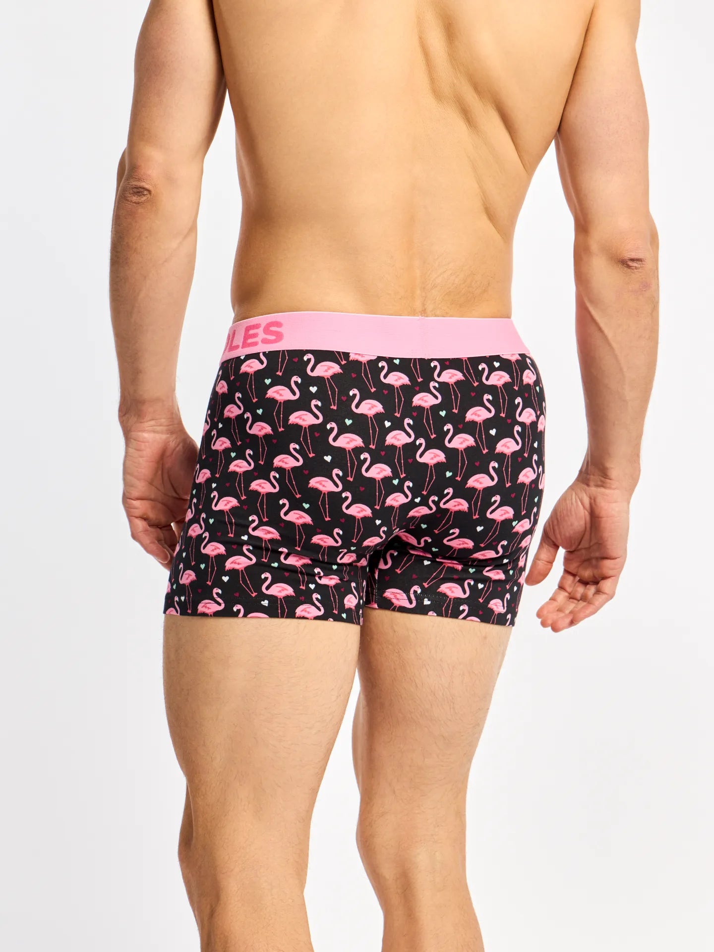 mens-trunks-flamingos-hearts-6c/6c469045956e176b64ca36c77901b4f76c3f36b4