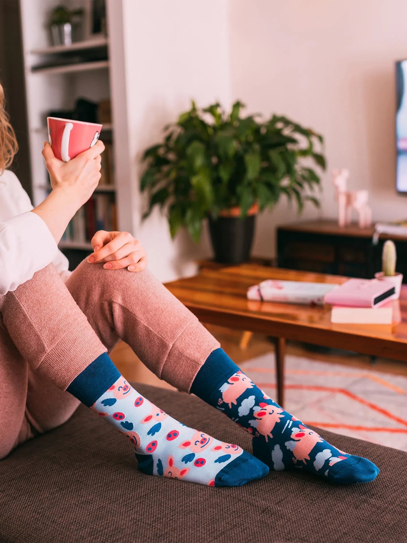 regular-socks-flying-pigs-1-93/936335e23e2ec03d5c476d628bfe994e653b1436