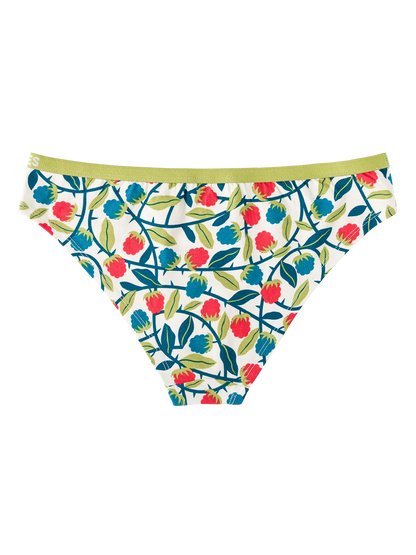 womens-briefs-raspberries-1d/1db08599093269dc9c379a6f1e7c141dd9c36098