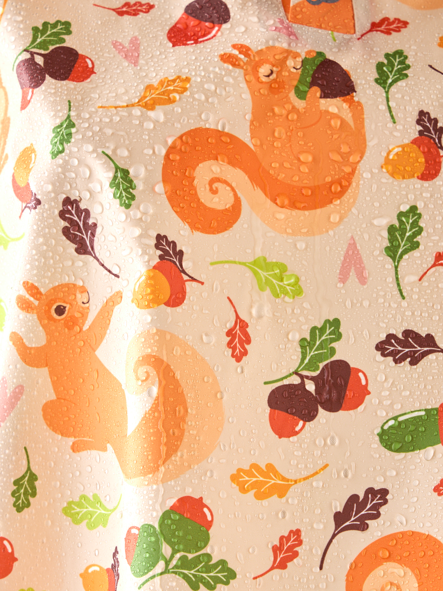 kids-raincoat-squirrel-nuts-ae/ae6db2dd68fbcfd1c63014e7d162ab8bd7e70218