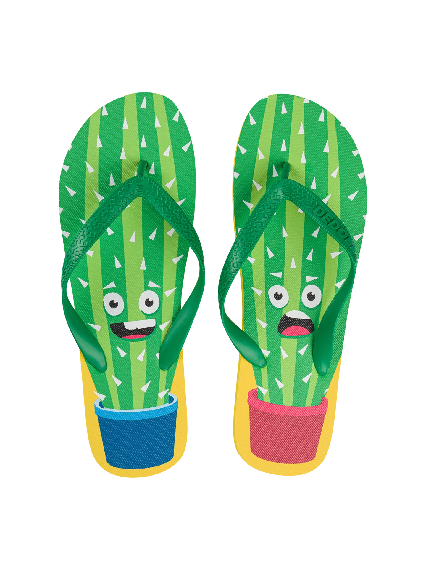 flip-flops-funny-cactus-d7/d7e64a0d9bf7b7547f35c90aa57509db0db52990