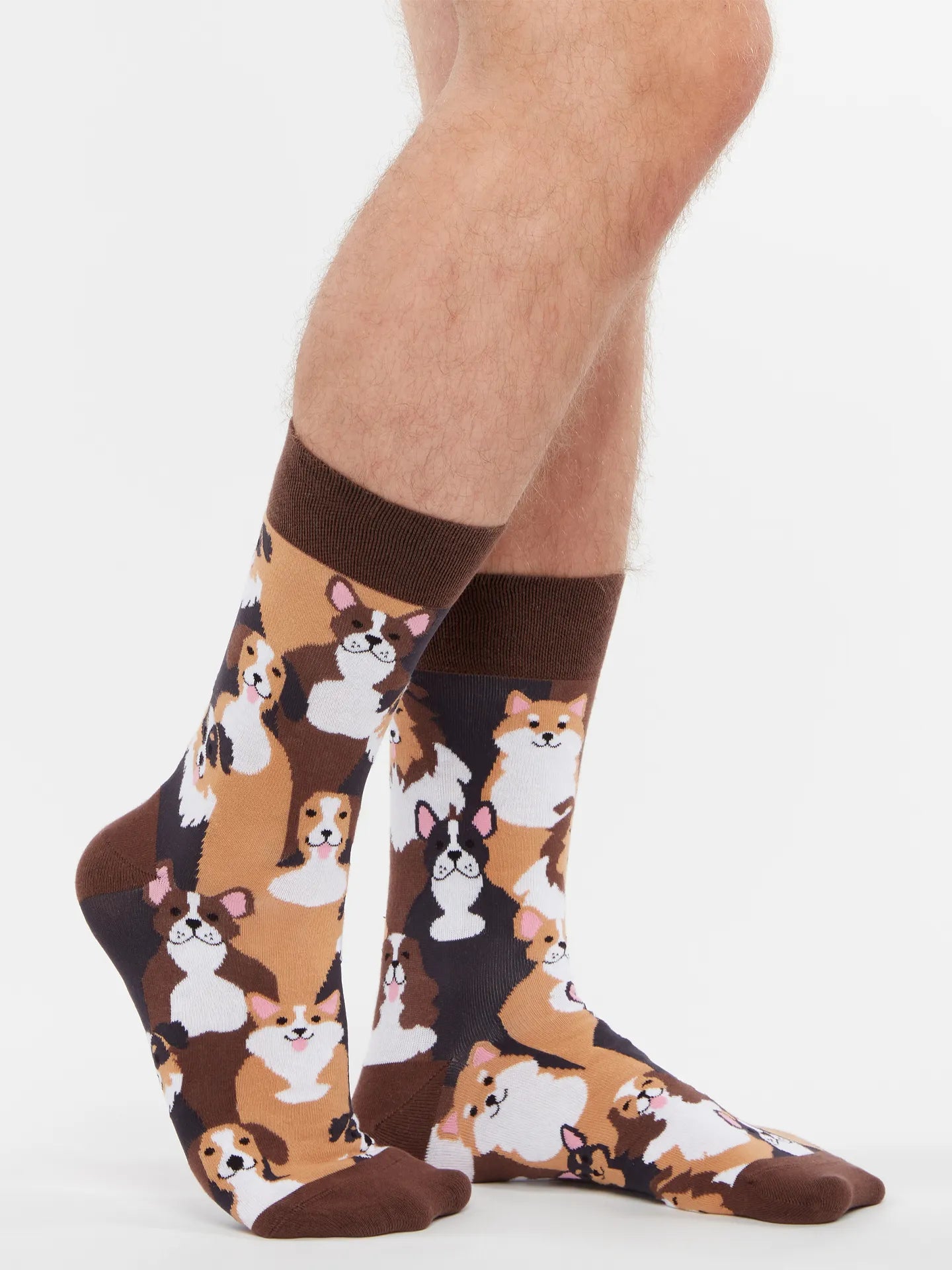 regular-socks-doggies-1-f3/f3c19fc499d3ba9ebac7275b264c302753ce5f05