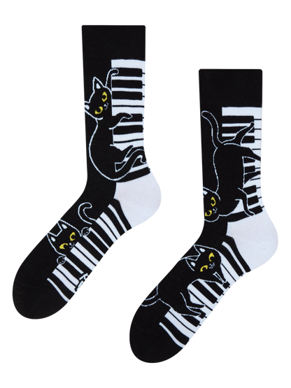 regular-socks-piano-cat-1-c6/c6543071f15a5716ca33dce52ebf854b88e169b6