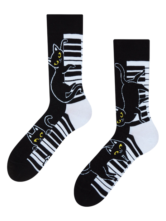 regular-socks-piano-cat-1-c6/c6543071f15a5716ca33dce52ebf854b88e169b6