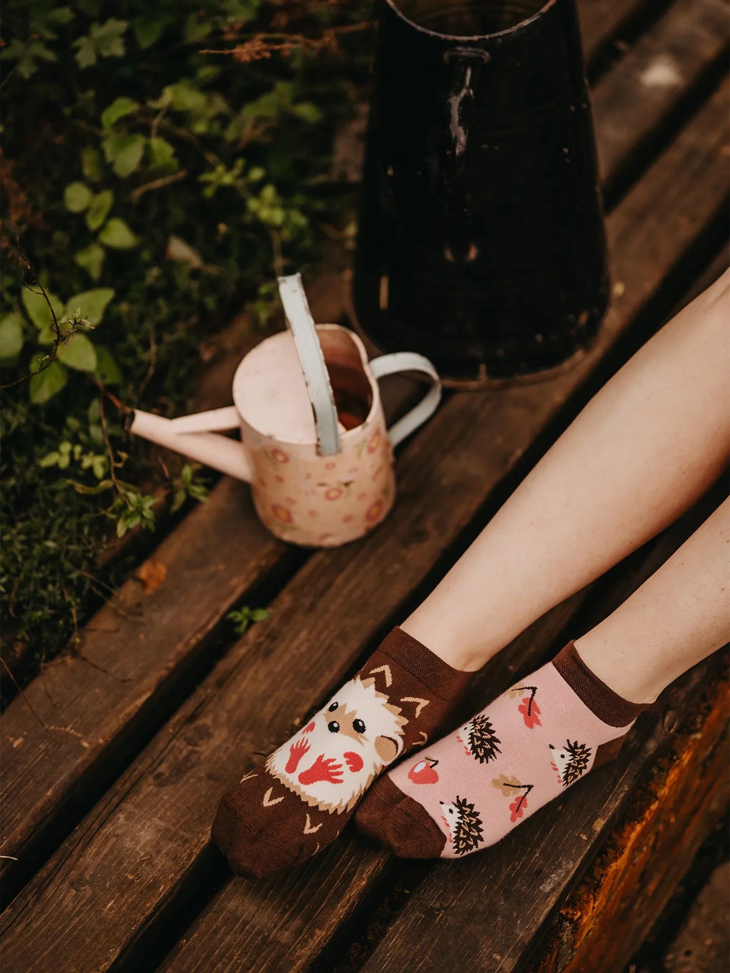 ankle-socks-hedgehog-1-68/688dd4def52b617116fed42608c1c12825676e8f