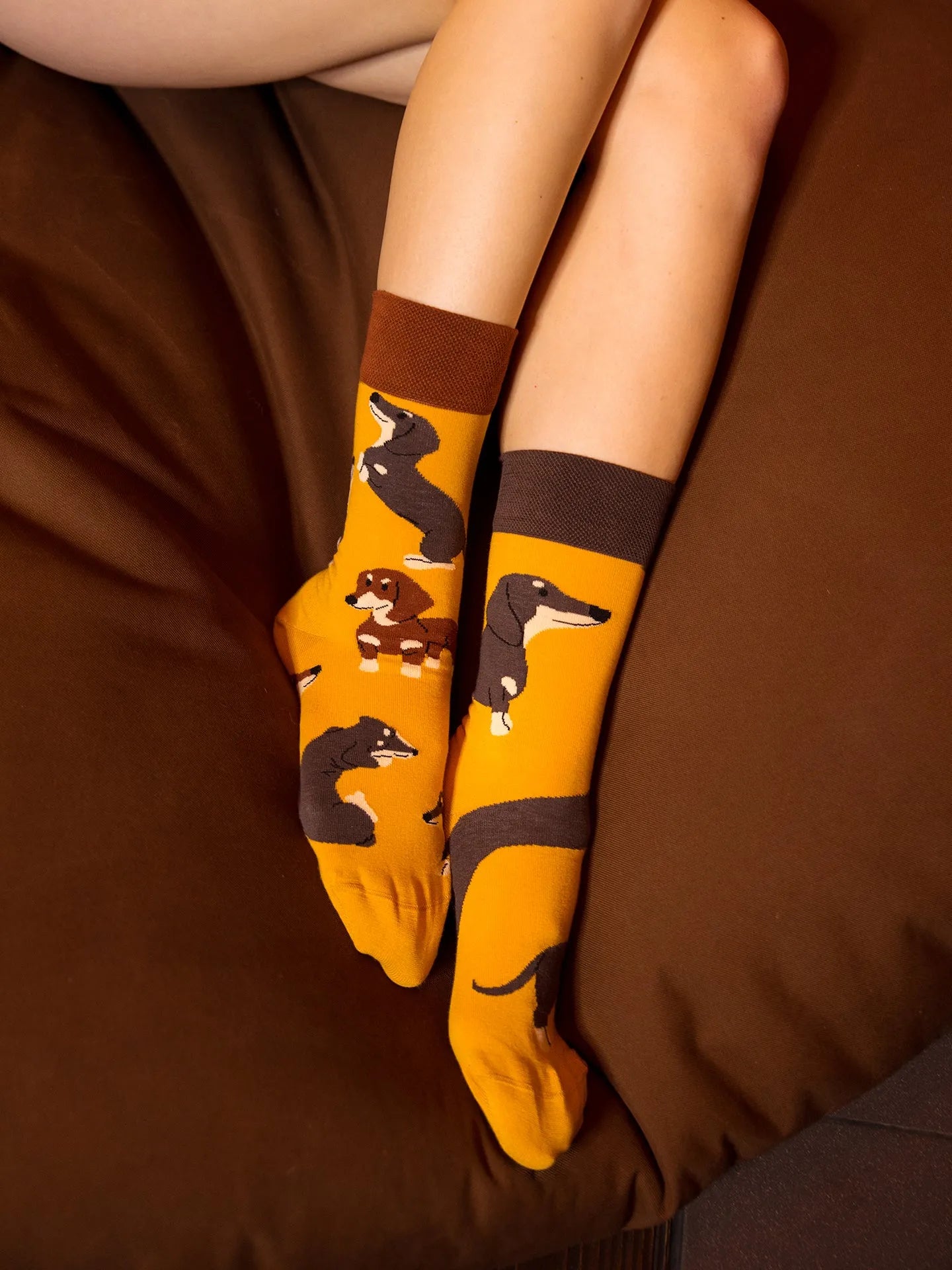 regular-socks-dachshunds-fb/fbaca3e48b7234e9c38abd63252e0f2a21a53511